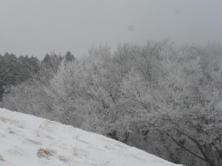 金剛登山４.JPG