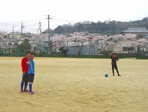 20130402_sakura04.jpg