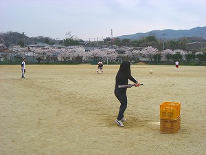 20130402_sakura05.jpg