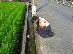 20130806_3nen-volunteer05.jpg