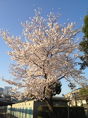 2014-04-04_syokuinkaigi01.jpg