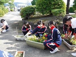 DSCF2490.jpg