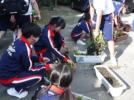 DSCF2491.jpg