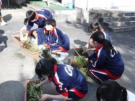 DSCF2494.jpg