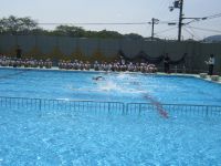 20150601pool2016.JPG