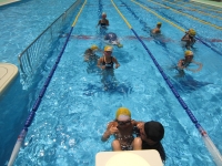 20150807suikura011.jpg