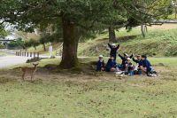 20211021narapark004.jpg