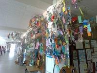 IMG_20250701_134517.jpg