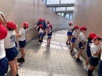 IMG_7746.jpg
