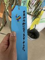 IMG_7916.jpg