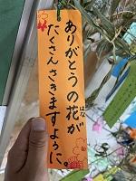 IMG_7922.jpg