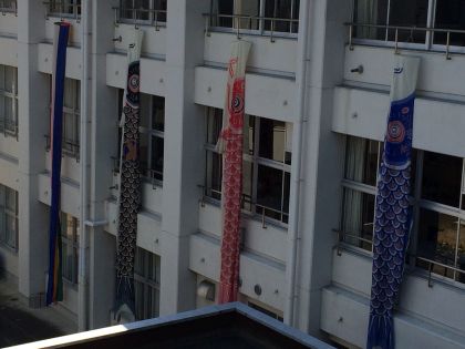 koinobori20150423_3.jpg