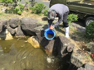 めだか１.jpg