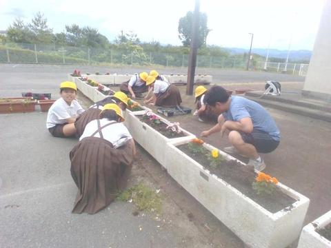 栽培委員会.jpg