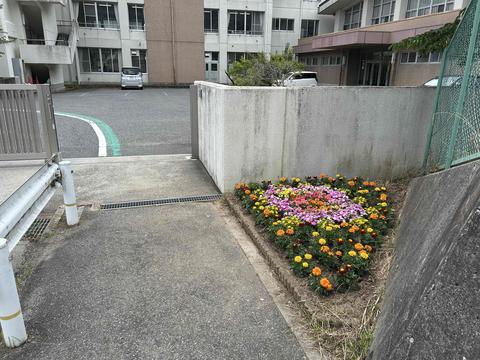教頭１.JPG