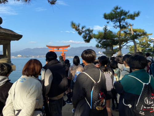 人権関係_人権_syouta isimura_ブログ (5).png