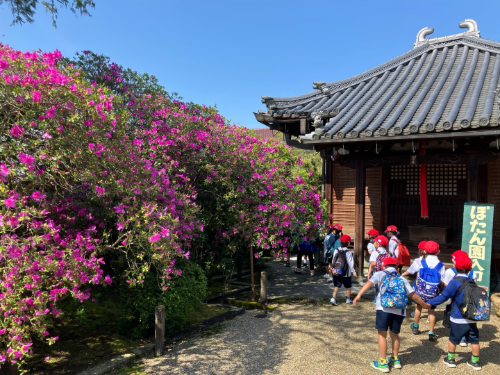 人権_人権_syouta isimura_ブログ (19).png