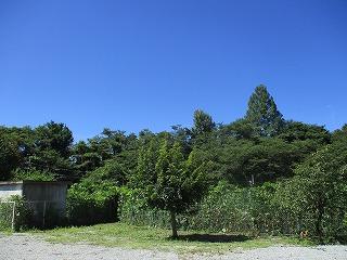 IMG_0507.jpg