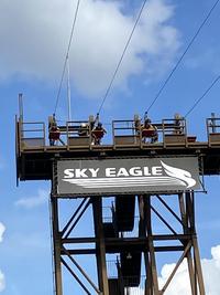 IMG_1354.JPG