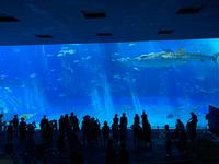 IMG_2863.jpg