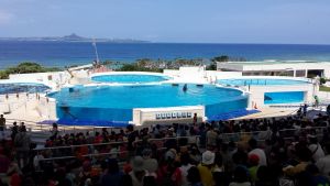 20150508_105516.jpg