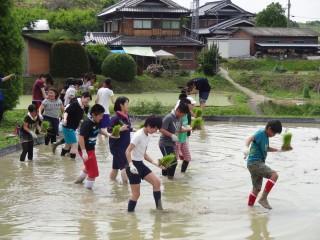 田植え.jpg