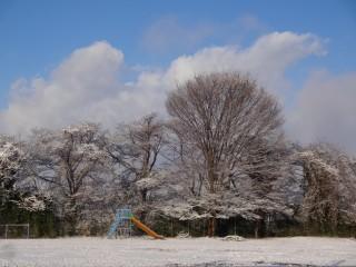 雪①.jpg
