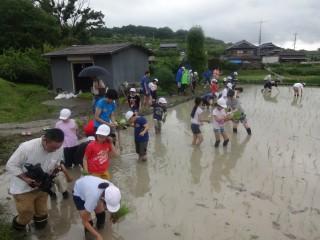 田植え２.jpg