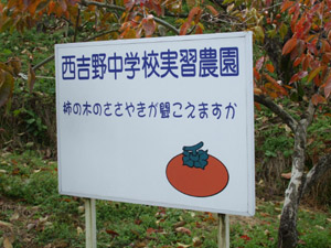 DSCF1135.JPG
