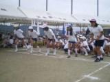 IMGP3375.JPG