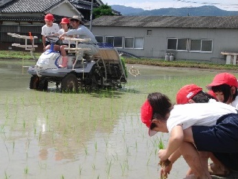 taue.jpg