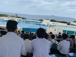 美ら海水族館.png