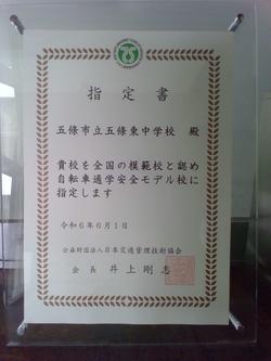 IMG_20240617_112033.jpg